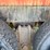 mack-dm688s-image-22
