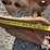 strickland-12"-backhoe-bucket-image-12