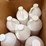 7-jugs-of-cleaner-image-2
