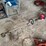 craftsman-4-cycle-29cc-weed-trimmer-image-1