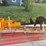 #17-•-lot-17-image-2