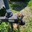 #7056-•-2008-forest-river-enclosed-trailer-(deerbrook,-wi)-image-18