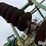 john-deere-30-image-13