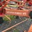 lely-lotus-stabilo-675-image-3