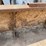 2013-bobcat-s650-image-70