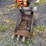 backhoe-bucket-image-2