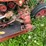 new-holland-479-image-7