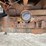 2000-ford-f350-sd-xlt-image-131