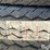 firestone-transport-1-9.00-20-tires-image-13