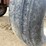 #2006-•-16'-hay-wagon-image-57