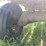 #2007-•-hay-wagon-with-10-ton-running-gear-(colfax-wi)-image-7