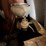 cream-separator,-very-nice,-shedded-image-5