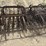 l3---drag-type-rotary-hoe-image-4
