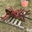 international-120-image-8