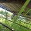 #2010-•-vintage-manure-spreader-(colfax-wi)-image-30