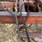 crust-buster-offset-image-12