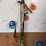 electric-pole-saw,-trim-line,-shears-etc-image-1
