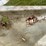poly-grain-auger-hoppers-image-13