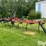 case-ih-npx5300-image-3