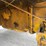 #302-•-liftmaster-rough-terrain-forklift-(boyceville-wi)-image-41