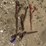 sl--(4)-boomers-image-1