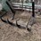 grapple-fork,-like-new,-came-off-new-holland-6070-tractor-and-loader,-would-fit-others-image-4
