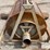 riverscreen-irrigation-self-cleaning-pump-screen-image-13
