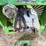 2023-john-deere-1775nt-image-11