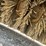 #6164-•-paladin-sweepster-86"-box-broom-image-9