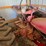 ihc-h-tractor,-narrow-front-image-20