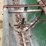 #2015-•-antique-john-deere-lime-spreader-image-21
