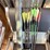 ms1---crossbow-and-accessory-lot-image-10