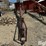 8"-x-54'-grain-auger-image-2