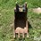 geith-580sn-18"-loader-backhoe-bucket-image-2