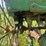 10-john-deere-10-image-10