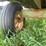 #2008-•-h&s-hay-wagon-with-john-deere-running-gear-(colfax-wi)-image-6