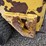 caterpillar-262d-image-22
