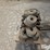 trailer-tie-down-straps-w/winches-image-7