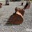 strickland-36"-backhoe-bucket-image-8