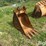 c&p-def-24”-excavator-bucket-image-3