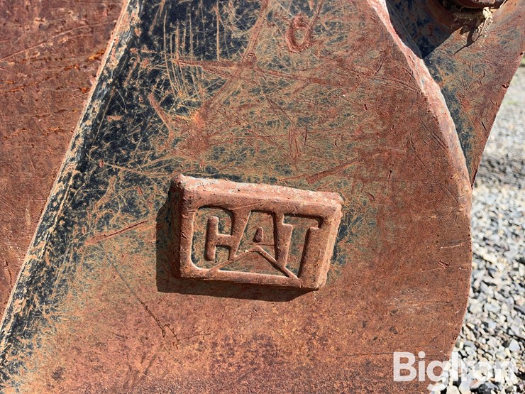 caterpillar-12-image-19