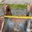 strickland-cx210-36”-excavator-bucket-image-18