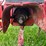 mccormick-m-image-22