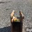 strickland-12"-backhoe-bucket-image-10