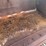 wr-5ft-bucket-off-jd.-excavator-image-6