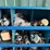 bolt-bin-with-some-assorted-image-3