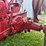 mccormick-m-image-15
