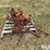 international-120-image-6