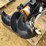 #2228-•-new-wolverine-auger-drive-&-bit-set-image-9