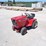 international-cub-image-1